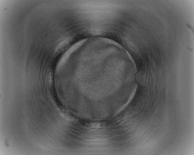 X0000097500740200803142019