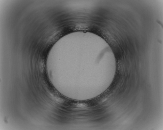 X0000097500741200803142019