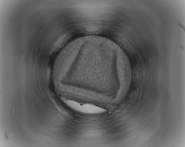 X0000097500742200803142019