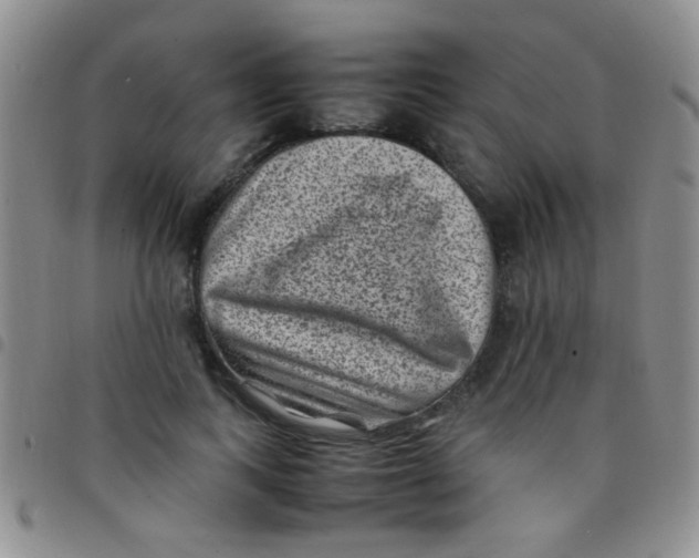 X0000097500743200803142019