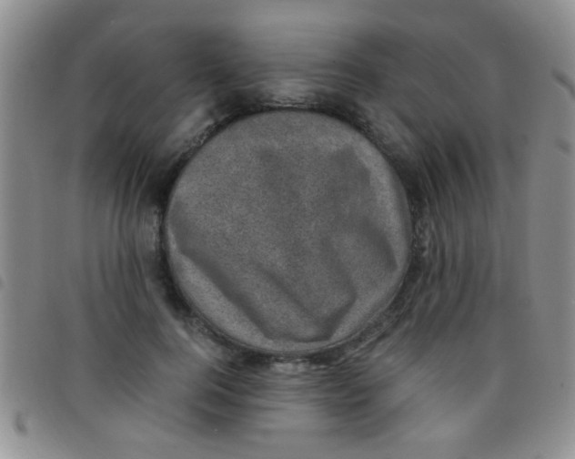 X0000097500744200803142019