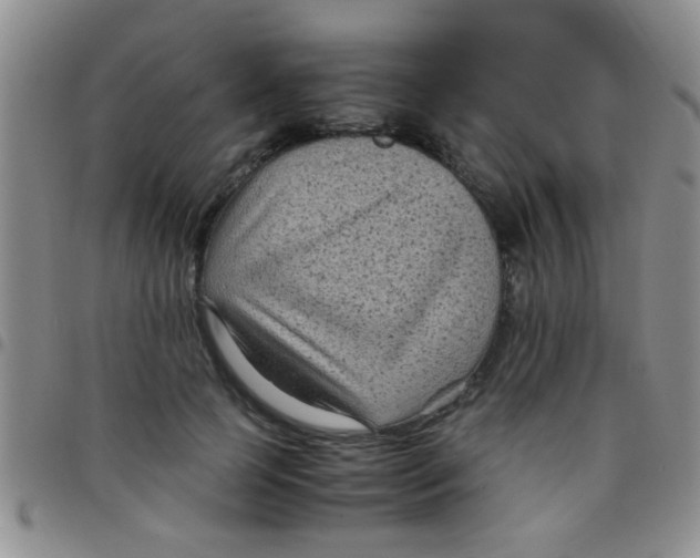 X0000097500745200803142019