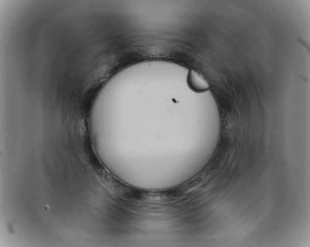 X0000097500746200803142019