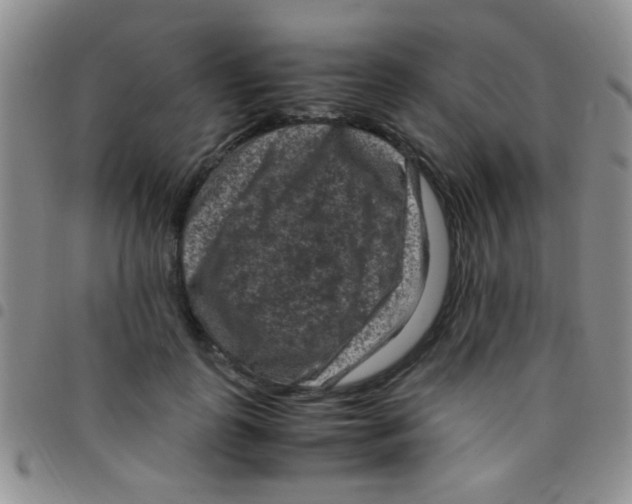 X0000097500747200803142019