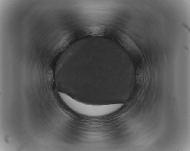 X0000097500748200803142019