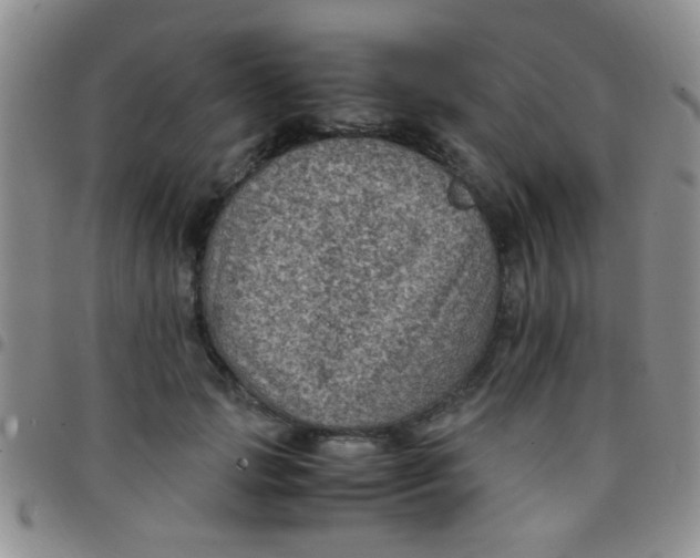 X0000097500749200803142019