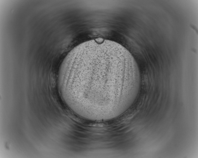 X0000097500751200803142019