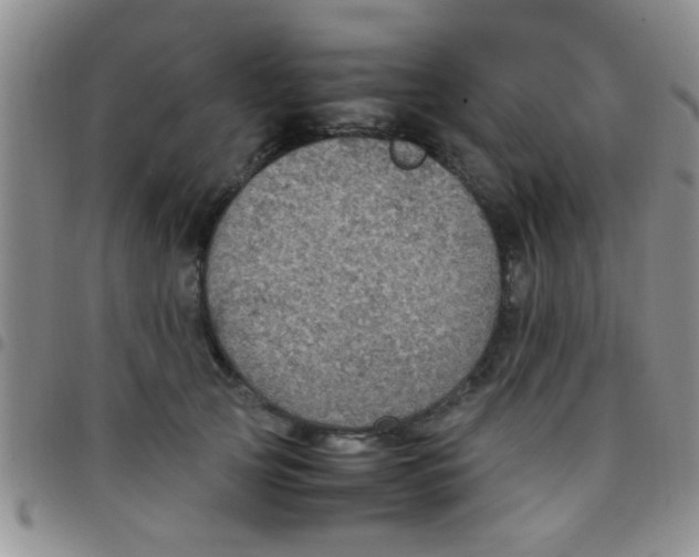 X0000097500753200803142019