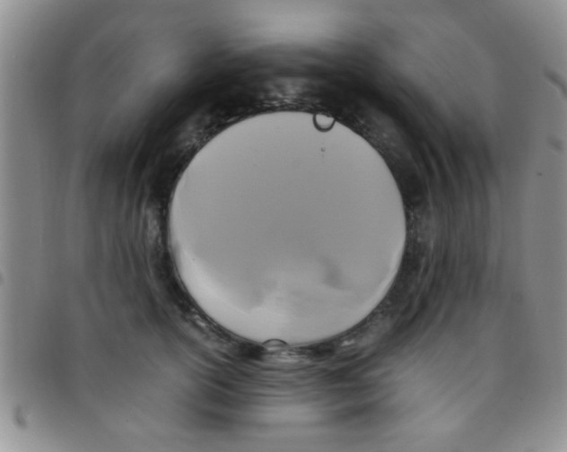 X0000097500754200803142019