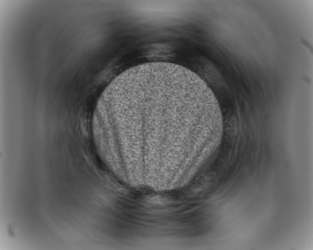 X0000097500755200803142019