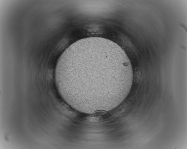 X0000097500756200803142019