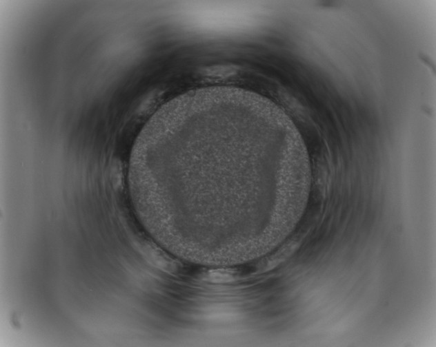 X0000097500758200803142019