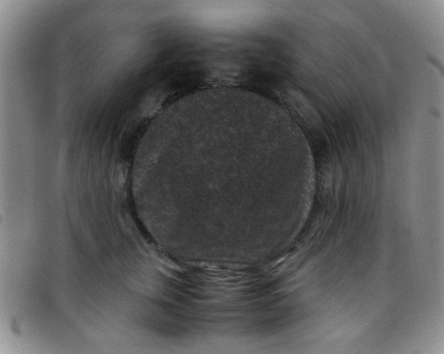 X0000097500759200803142019