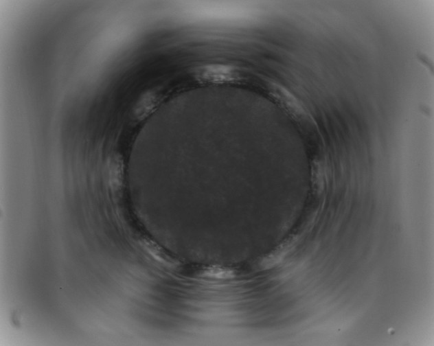 X0000097500760200803142019