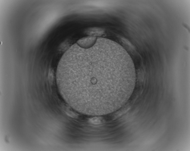 X0000097500761200803142019