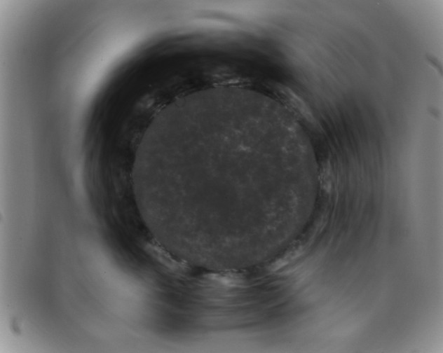 X0000097500763200803142019