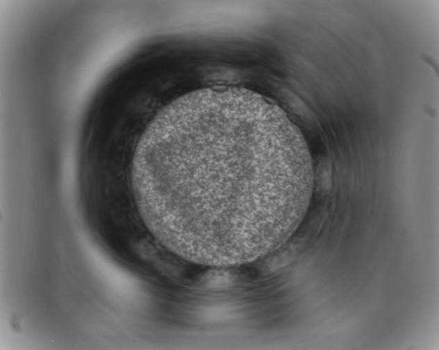 X0000097500764200803142019