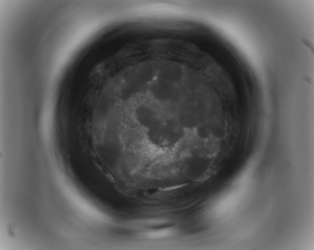 X0000097500765200803142019