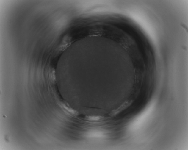 X0000097500766200803142019