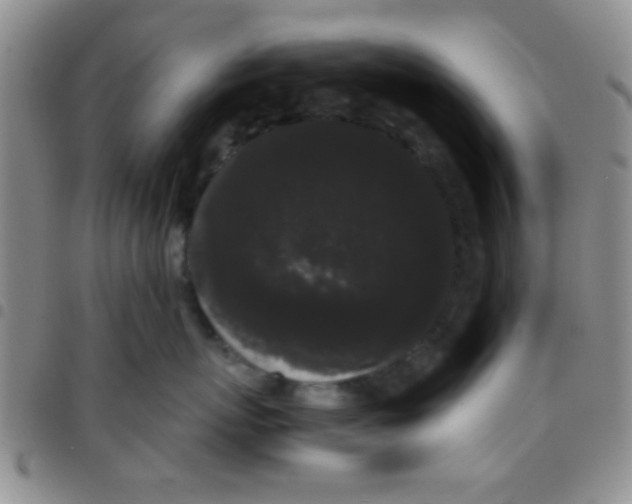 X0000097500767200803142019