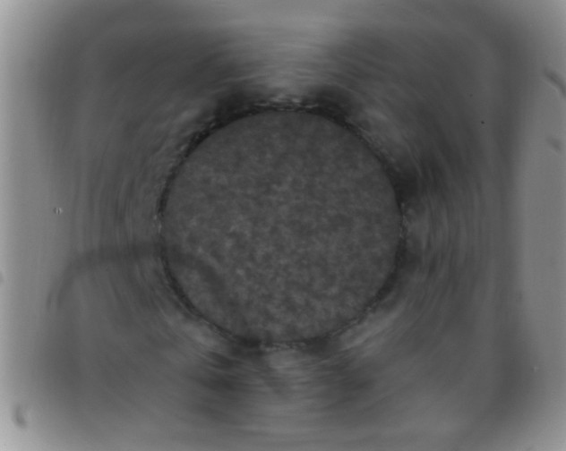 X0000097500769200803142019