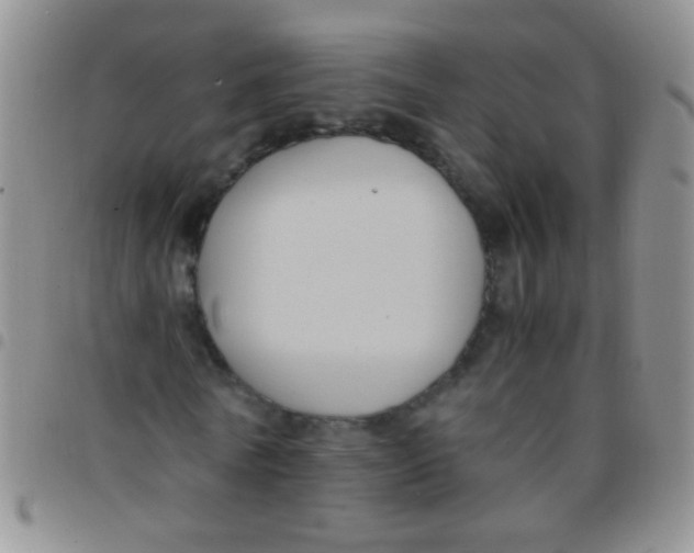 X0000097500770200803142019