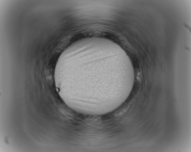 X0000097500771200803142019