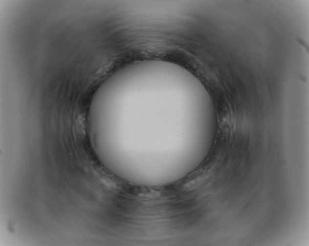 X0000097500772200803142019