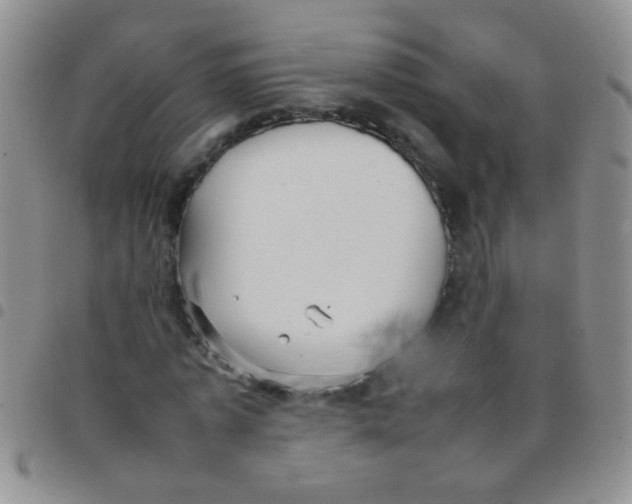 X0000097500773200803142019