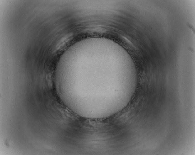 X0000097500774200803142019