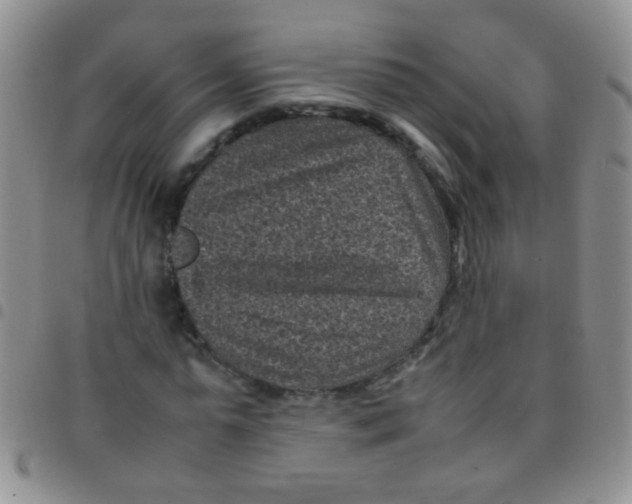 X0000097500775200803142019