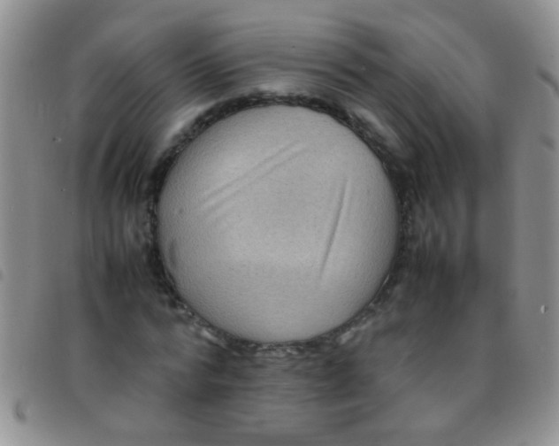 X0000097500776200803142019