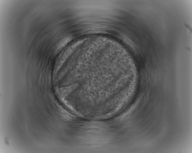 X0000097500777200803142019