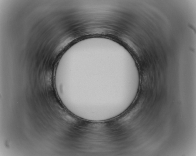 X0000097500778200803142019