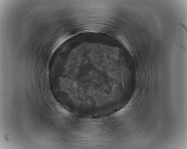 X0000097500779200803142019