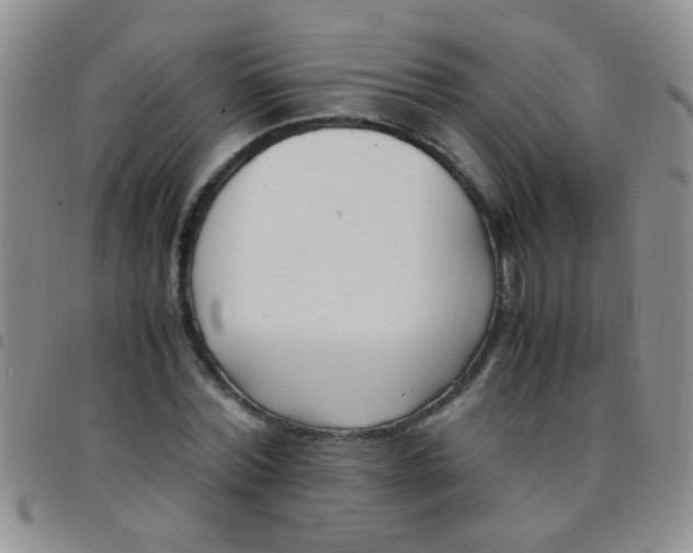 X0000097500780200803142019