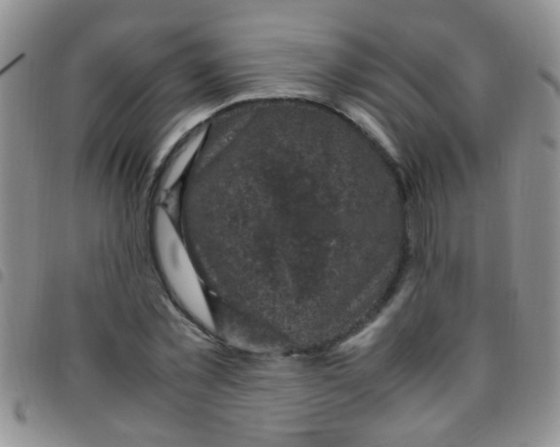 X0000097500781200803142018