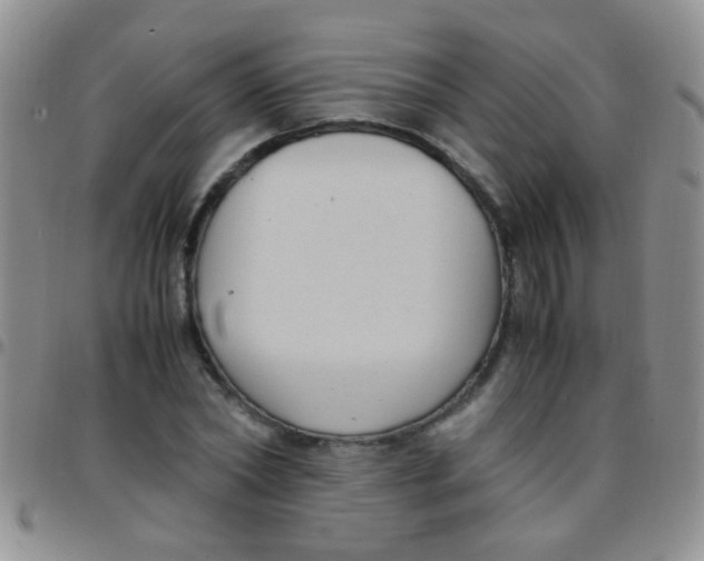 X0000097500782200803142018