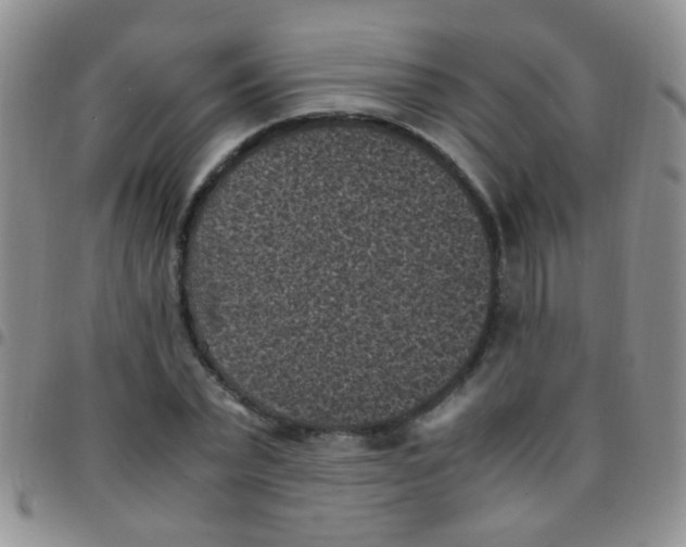 X0000097500783200803142018