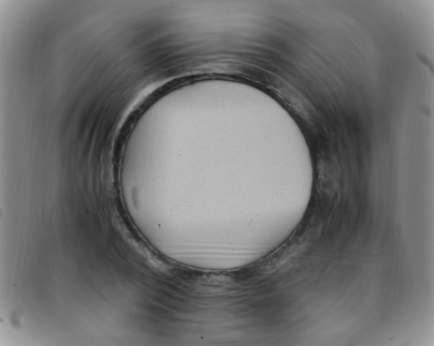 X0000097500784200803142018