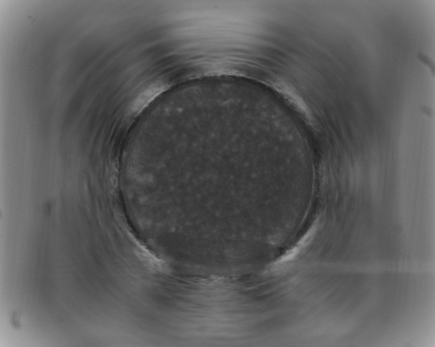 X0000097500785200803142018