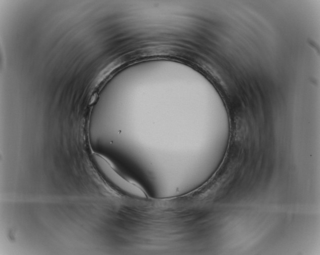 X0000097500786200803142018