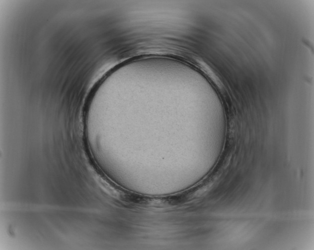 X0000097500787200803142018