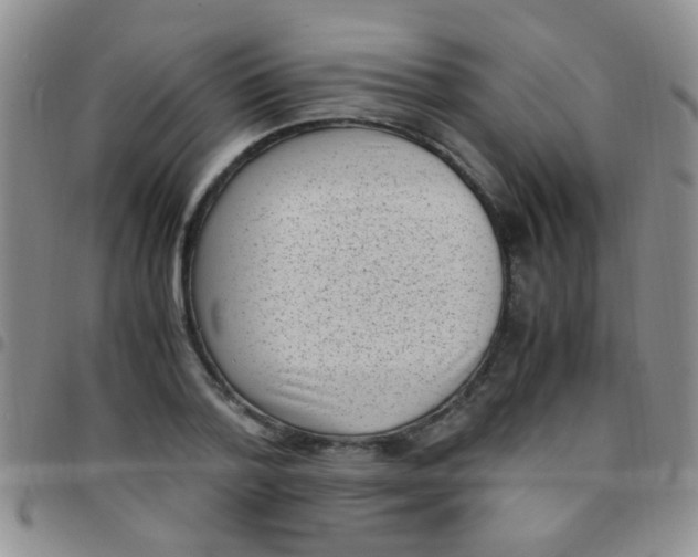 X0000097500788200803142018