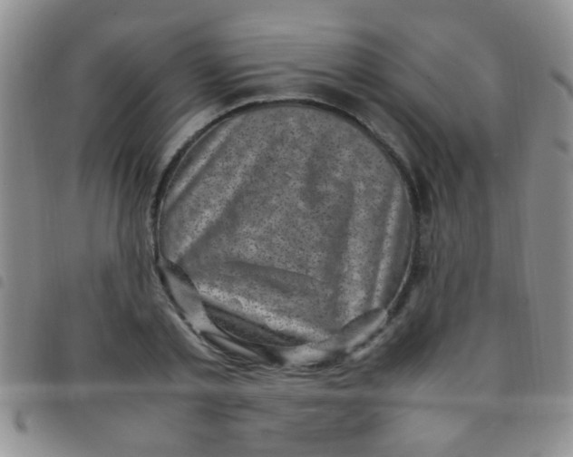 X0000097500789200803142018