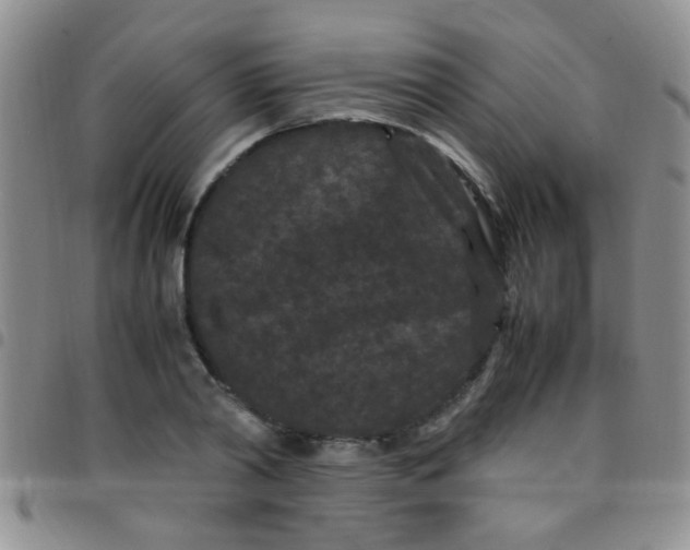 X0000097500790200803142018