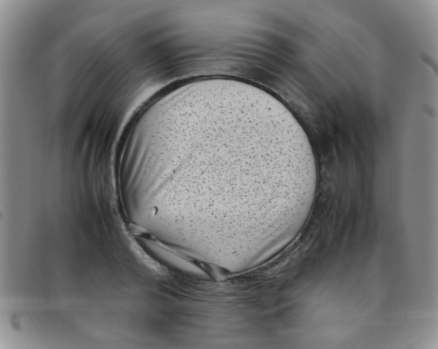 X0000097500792200803142018