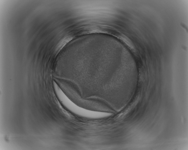 X0000097500793200803142018