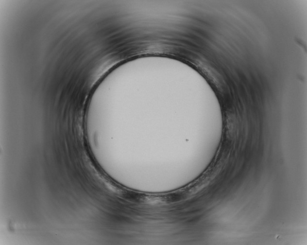 X0000097500794200803142018