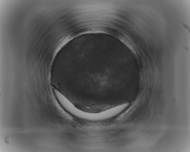 X0000097500797200803142018